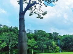 -云溪植物园