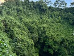 -海口火山口国家地质公园