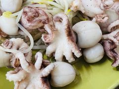 芥末白灼八爪鱼-贞姨美食·老字号海鲜大排档
