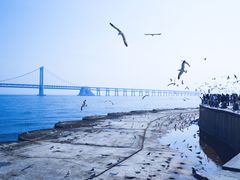 -星海广场