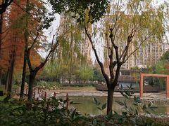 -陈家山荷花公园