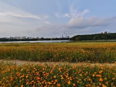 -海珠湖公园