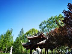 -石家庄市植物园