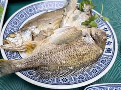 -桂园白粥·潮汕老味道