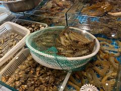 -木柴豆腐·活海鲜·鲁菜(岚山路店)