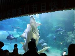 -左海海底世界