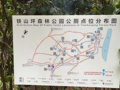 -铁山坪森林公园