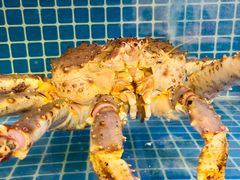 -必点海鲜·海肠捞饭大王(滨江道店)
