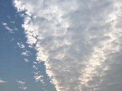 -嘉北郊野公园