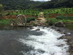 -广州市石门国家森林公园