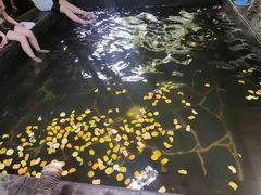 -西安国际创新人才交流中心•药浴温泉