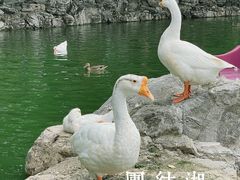-团结湖公园