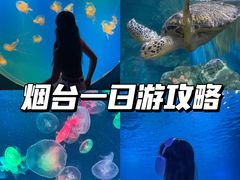 -烟台海昌鲸鲨海洋公园