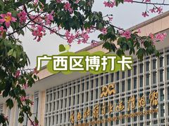 -广西壮族自治区博物馆