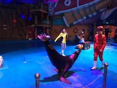 -烟台海昌鲸鲨海洋公园