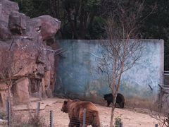 -无锡动物园·太湖欢乐园