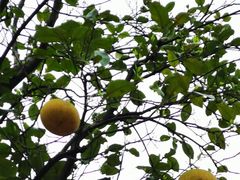 -张家界青和锦江国际酒店