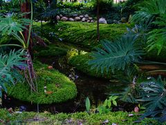 -成都市活水公园