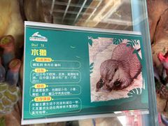 -杭州野生动物世界