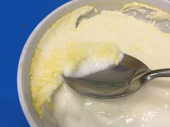 -德禄酸奶(莫家街店)