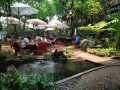 景观位-Fern Forest Cafe