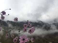 -叠溪松坪沟景区