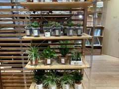 -MUJI无印良品(华贸店)
