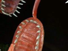 -汕头蓝水星欢乐世界