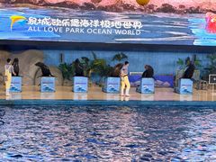 -泉城欧乐堡海洋极地世界