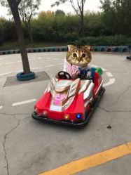 -大望京儿童游乐场