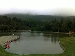 -武陵山森林公园