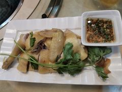 白切文昌鸡-墨脱石锅椰子鸡•香草鸭•东山羊(大东海店)