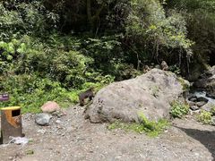 -西岭雪山大飞水景区