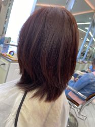 -潘多拉Hairsalon