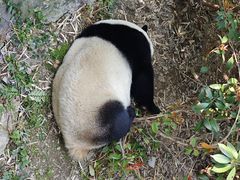 -红山森林动物园