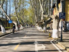 -T80科技文化国际社区-停车场