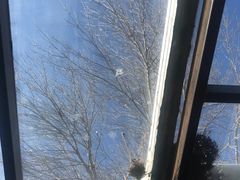 -VOYAGE COFFEE(北锣鼓巷店)