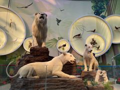 -陕西自然博物馆