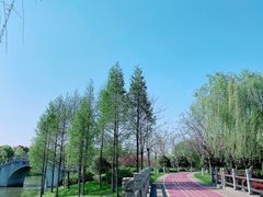 -尚贤河湿地