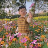我和春天有个约会