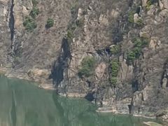 -栾川竹海野生动物园