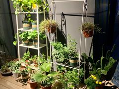 -Primo·丽莫意大利窑烤披萨