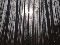 -上海怡沁园度假酒店