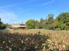 -莲池书院博物馆