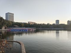 -莲花池公园