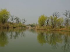 android_upload_pic-梁鸿国家湿地公园