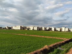 -捞渔河湿地公园