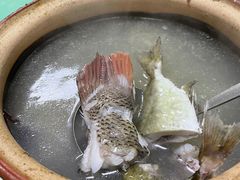 -巫记鸡饭店