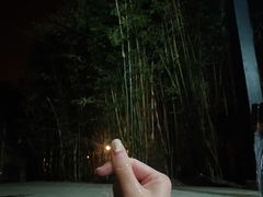 -三江森林温泉度假区