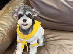 -开普墩Captain网咖俱乐部